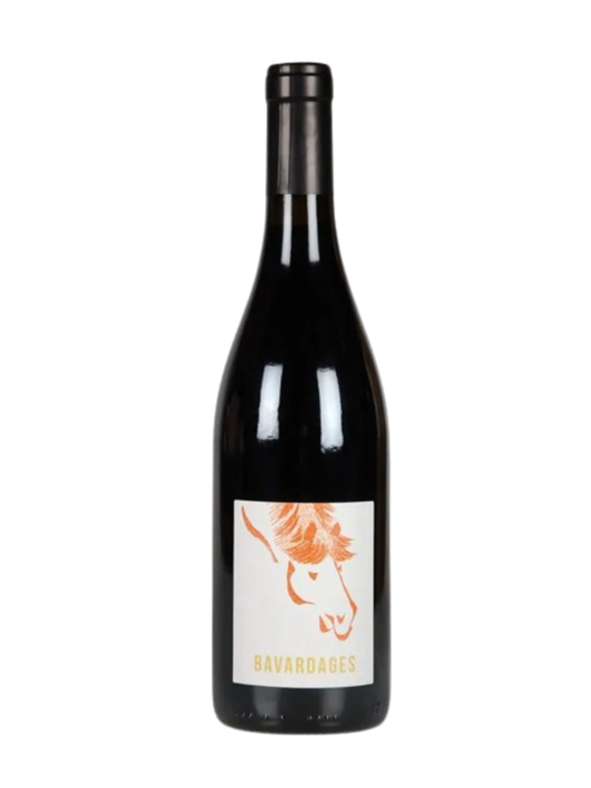 Jeanne Germain Saumur Champigny Rouge Bavardages 2024