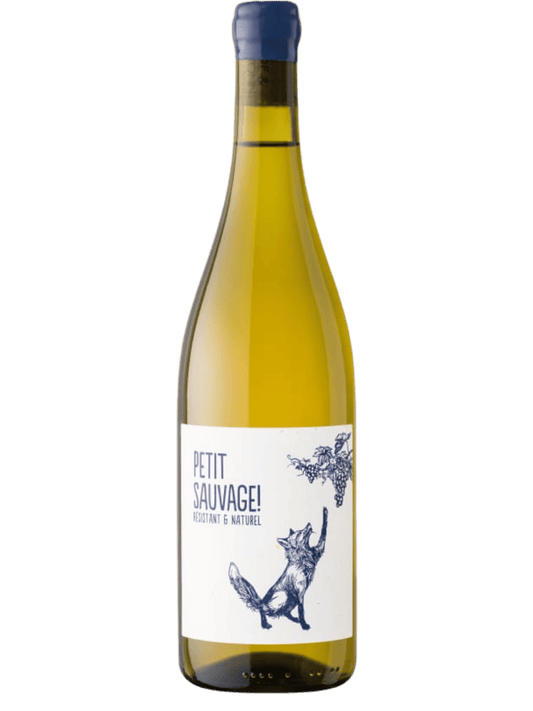 Pierre & Antonin Petit Sauvage Blanc 2025