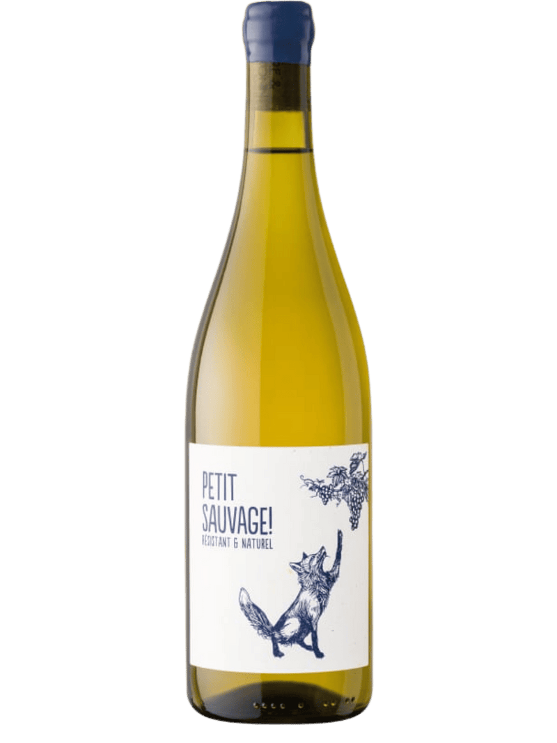 Pierre & Antonin Petit Sauvage Blanc 2025