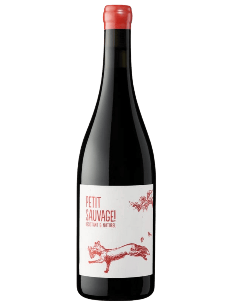 Pierre & Antonin Petit Sauvage Rouge 2025