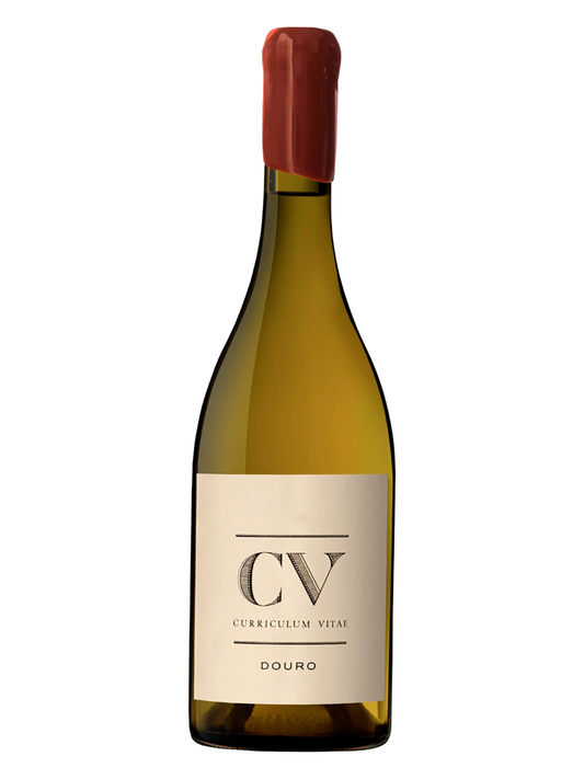 VZ CV - Curriculum Vitae 2021 Douro Branco/White